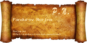 Pandurov Norina névjegykártya